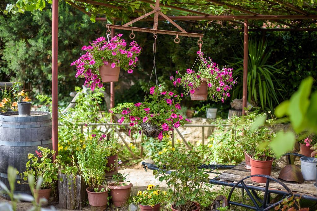 Guesthouse Alexandros Nestorion ภายนอก รูปภาพ